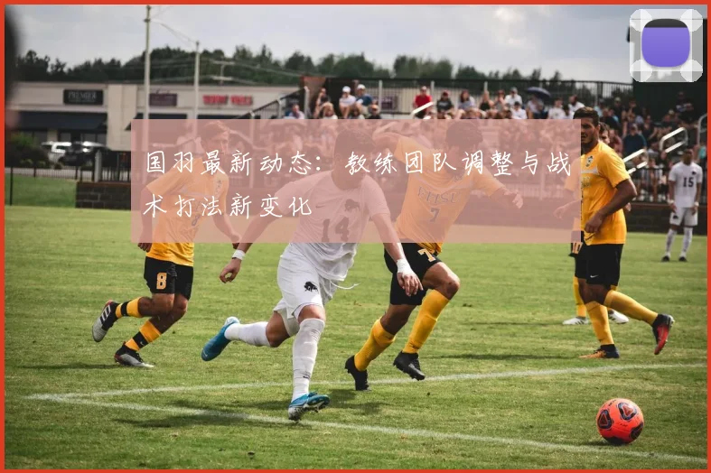 国羽最新动态：教练团队调整与战术打法新变化